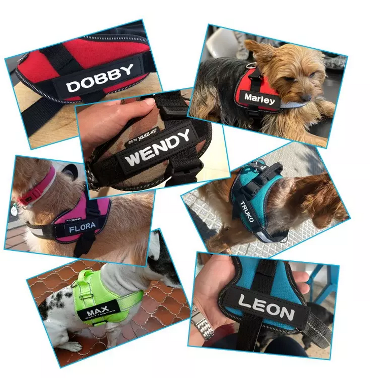 Harnais personnalisable pour chien
