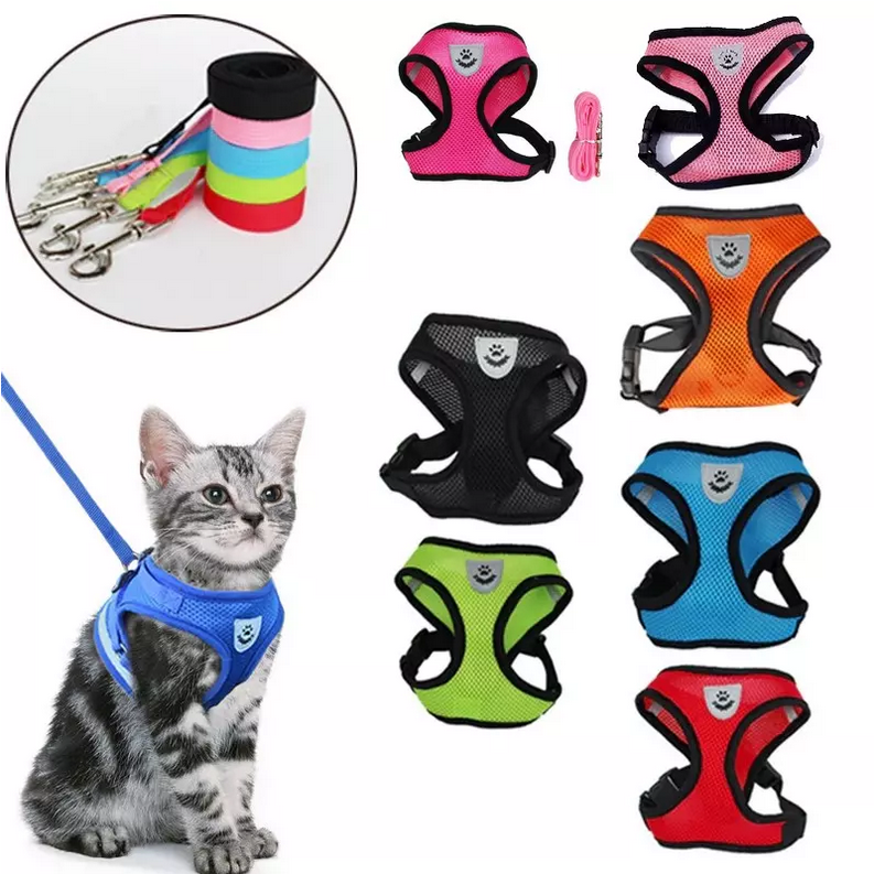 Harnais réglable avec laisse