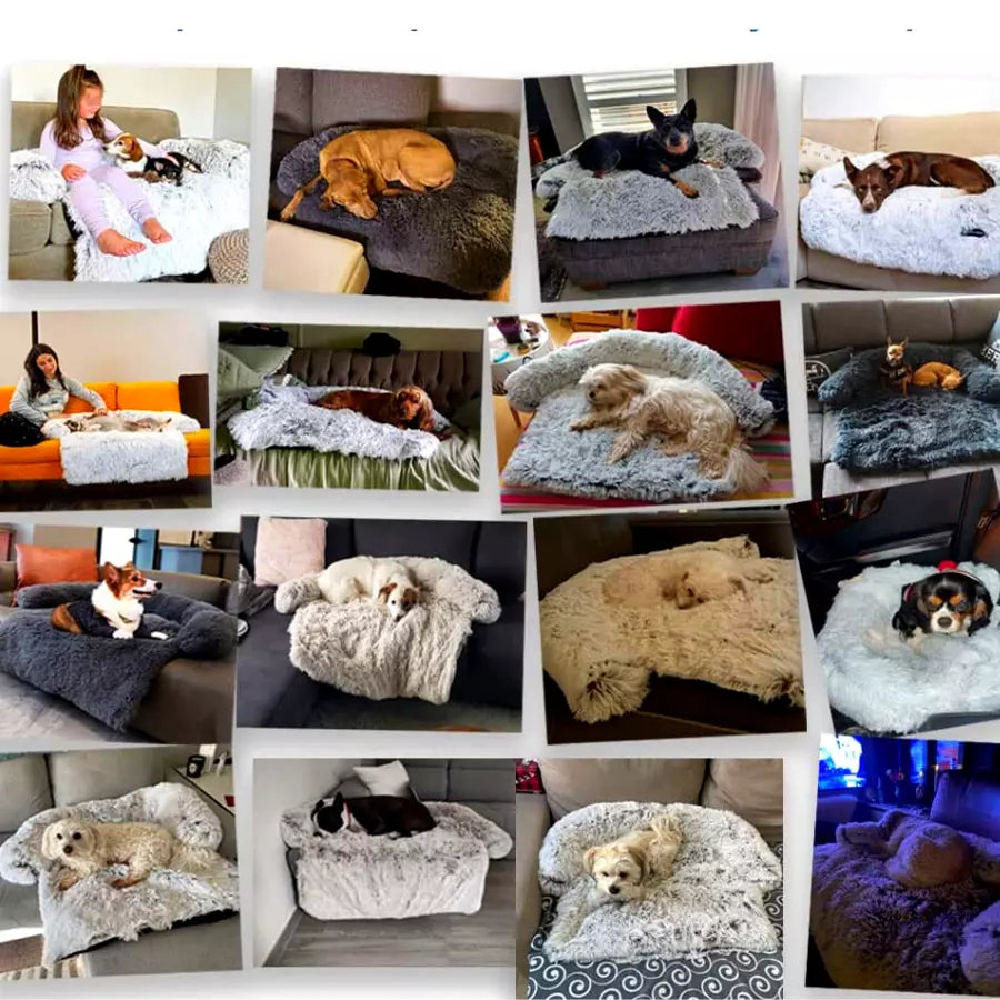 Protecteur De Meuble pour chien et chat, moelleux et Anti-stress