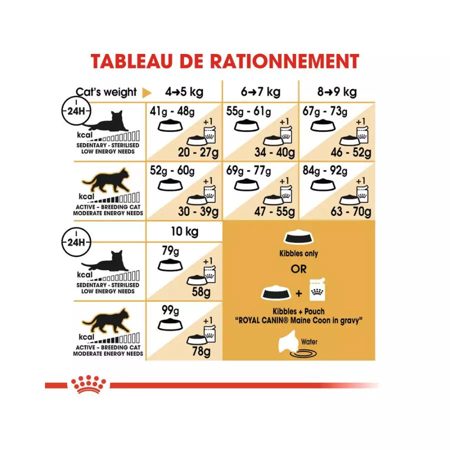 Royal Canin Maine Coon Adult pour chat