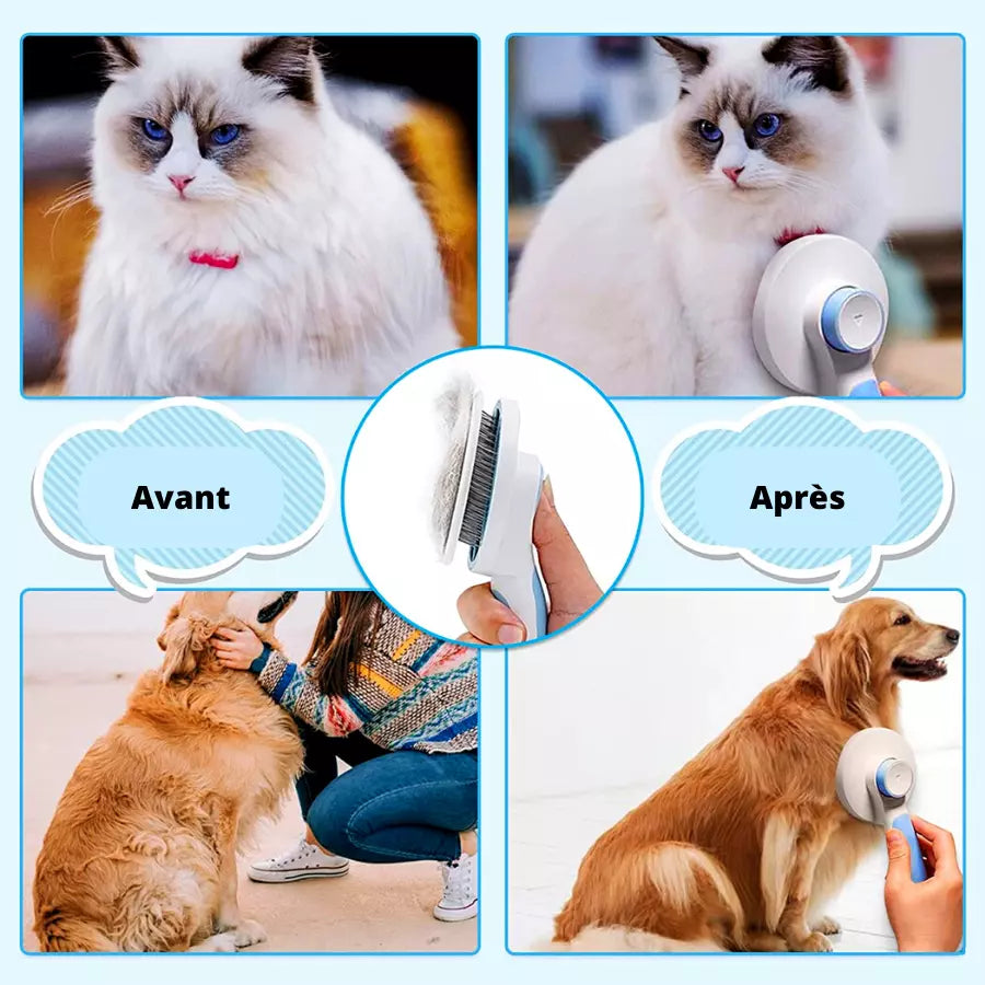 Brosse à poils pour chiens chat toilettage Automatique