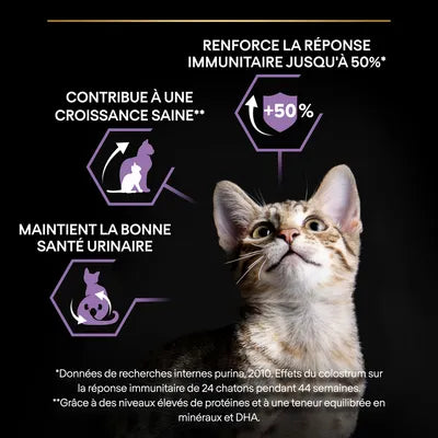 15kg PURINA PRO PLAN Sterilised Kitten Healthy Start saumon pour chaton -(4 variantes)