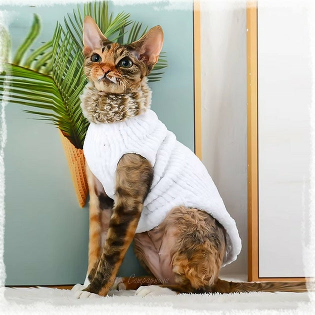 Pull en laine Col fourrure