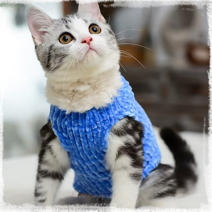 Pull en laine Col fourrure