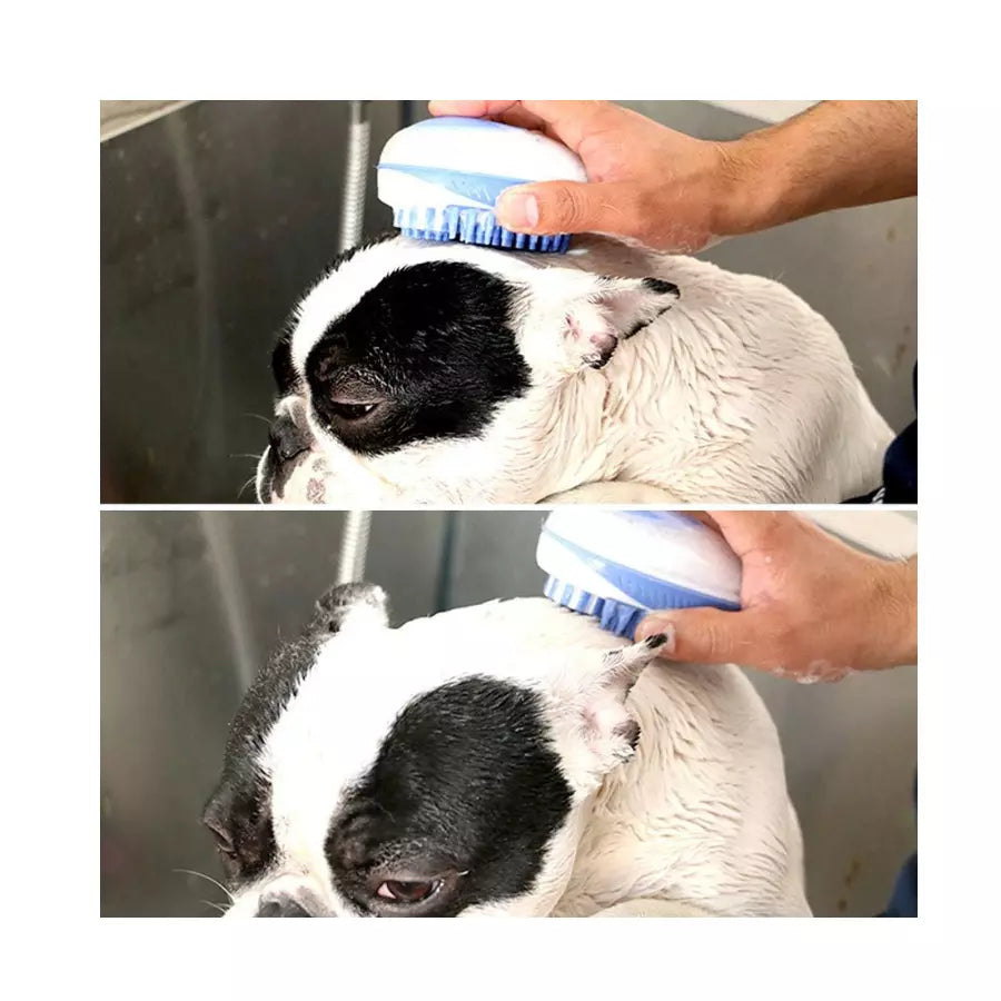 Brosse de toilettage magique pour chien 2 en 1
