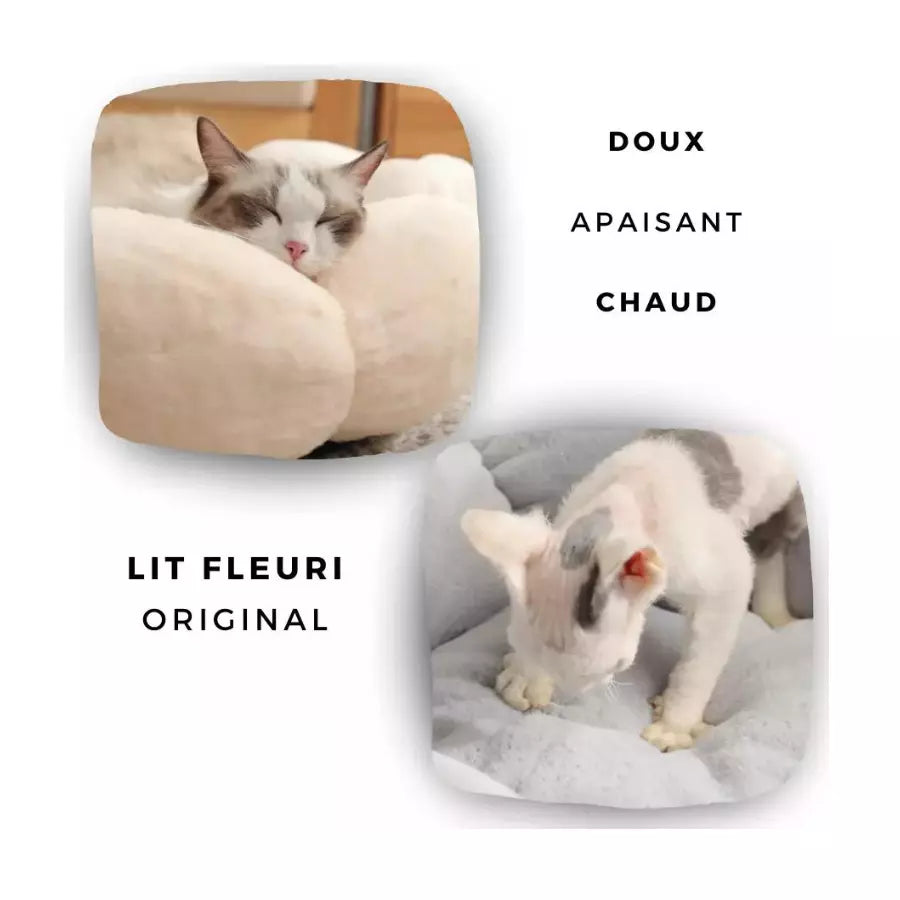 Coussin en peluche Marguerite