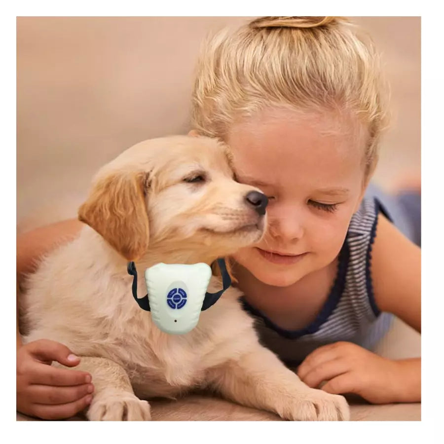 Collier dressage anti aboiement pour chien