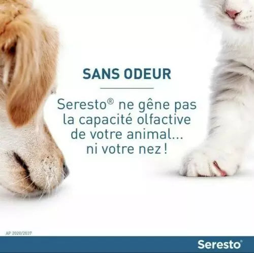 Colliers Seresto antiparasitaire anti-puces et anti-tiques pour Chat