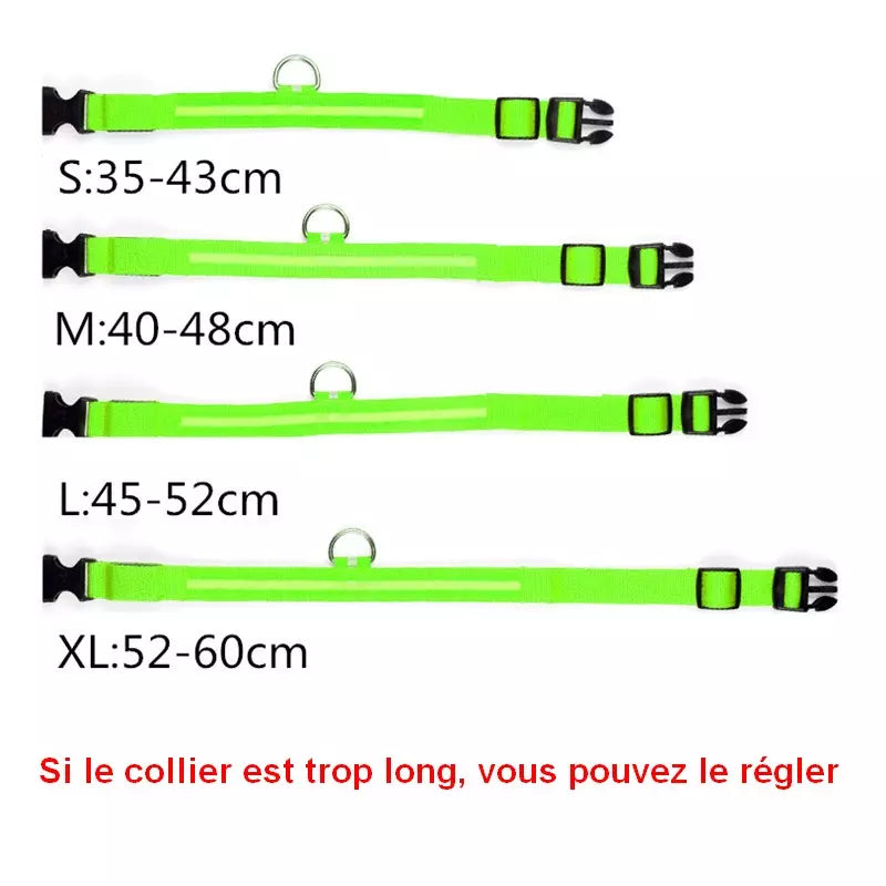 Collier lumineux USB pour chien