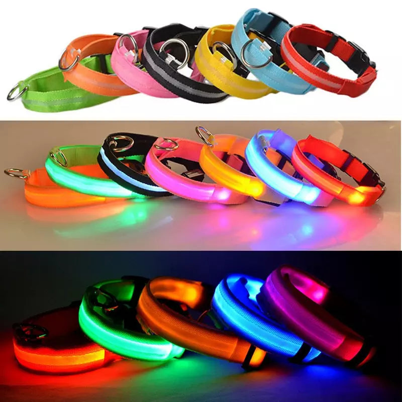 Collier lumineux USB pour chien