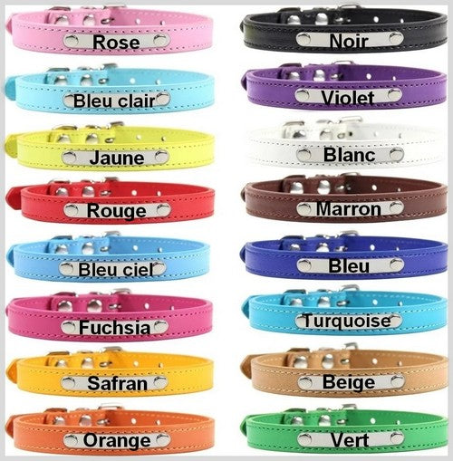 Collier cuir avec plaque d'identification