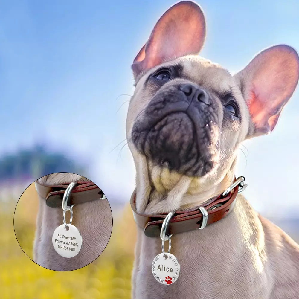 Médaille personnalisée ronde avec strass pour chien-chat