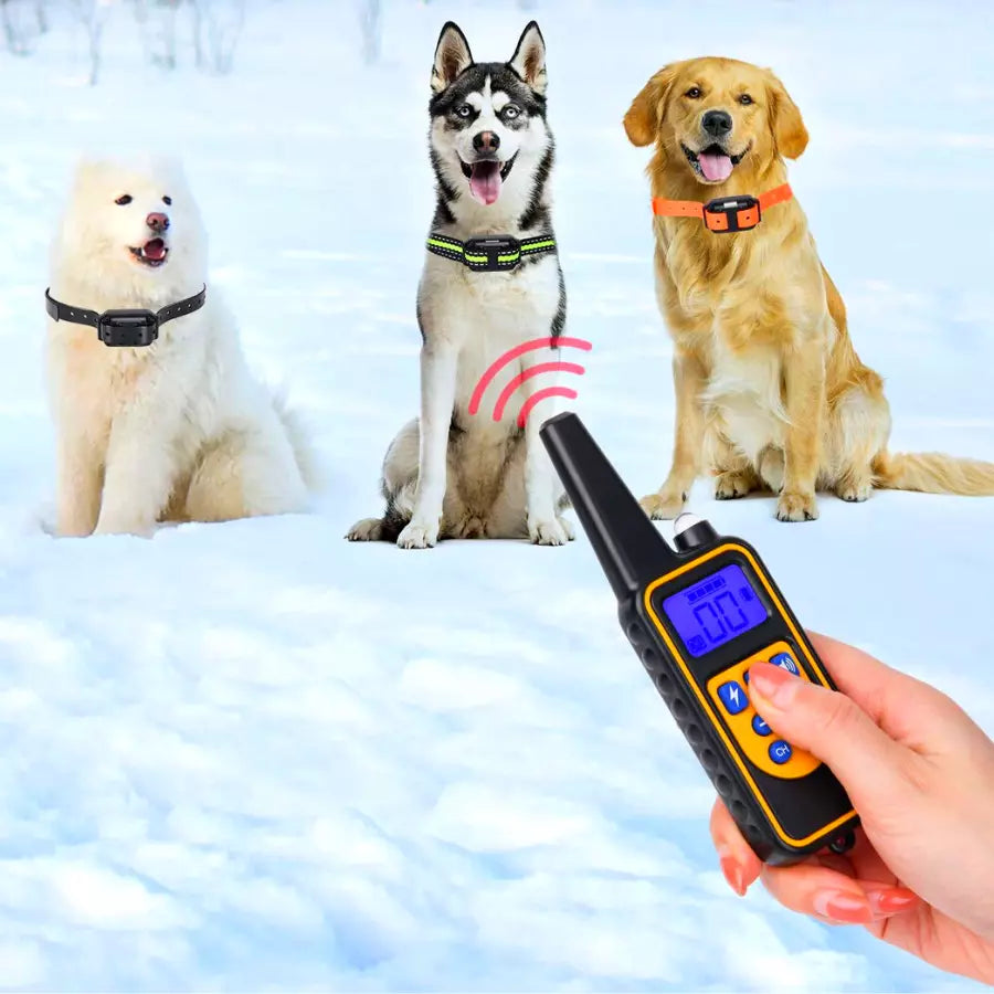 Collier Anti Aboiement pour Chiens