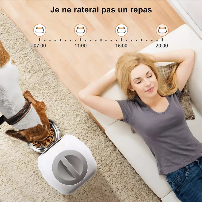 Distributeur automatique d'aliments pour animaux de compagnie