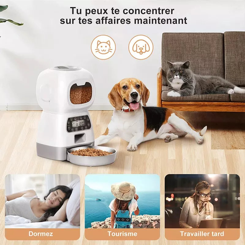Distributeur automatique d'aliments pour animaux de compagnie