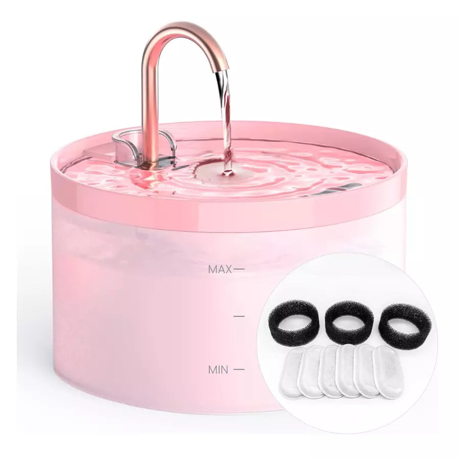 Fontaine à Eau automatique pour Chat