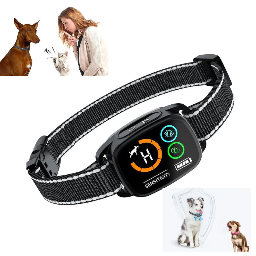 Collier dressage anti aboiement pour chien