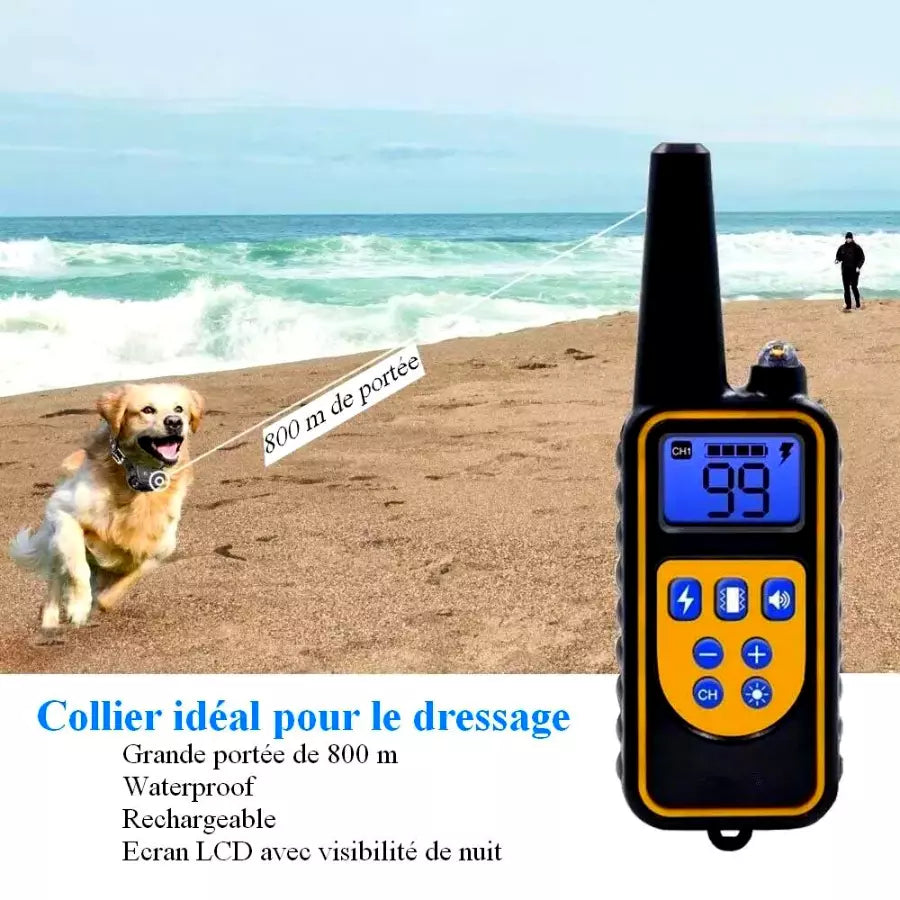 Collier Anti Aboiement pour Chiens