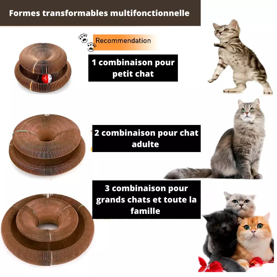 Boule Griffoir Pour Chat - Le Meilleur pour émuser votre Chat