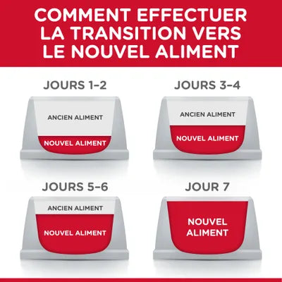 Hill's Science Plan Adult poulet pour chat 15kg