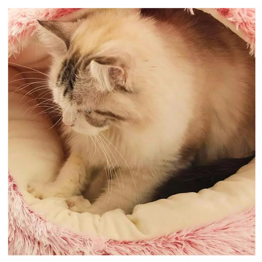 Chausson moelleux pour chat