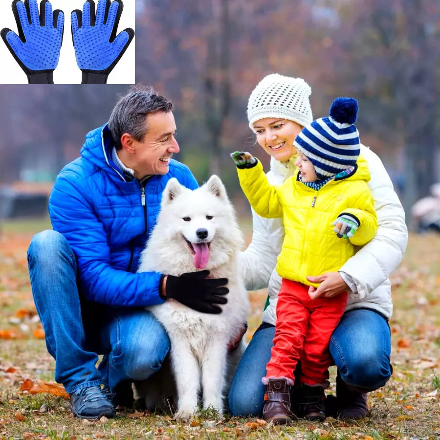 Gants des poils en Silicone pour animaux de compagnie chat chien brosse d'épilation