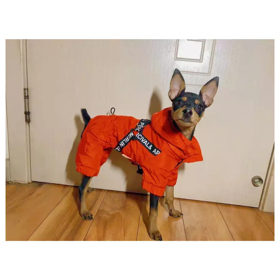 Veste chaude d'hiver pour chien