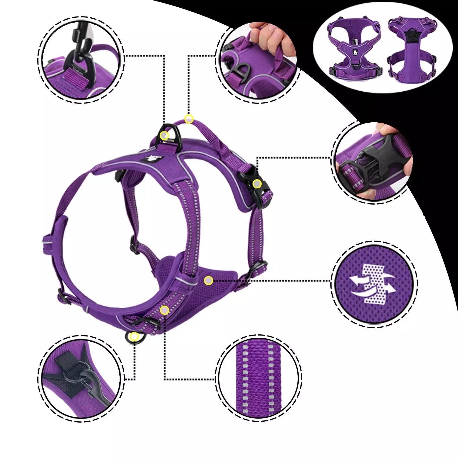 Harnais anti-traction pour chien