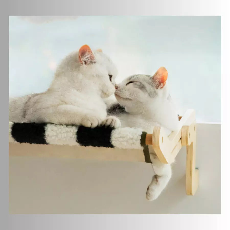 Lit Hamac fenêtre suspendu en bois pour chat