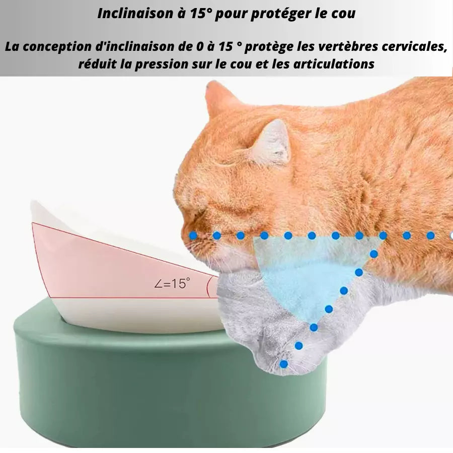 Gamelles surélevées doubles pour chats et chiens