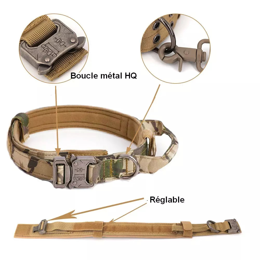 Kit complet tactique pour chien