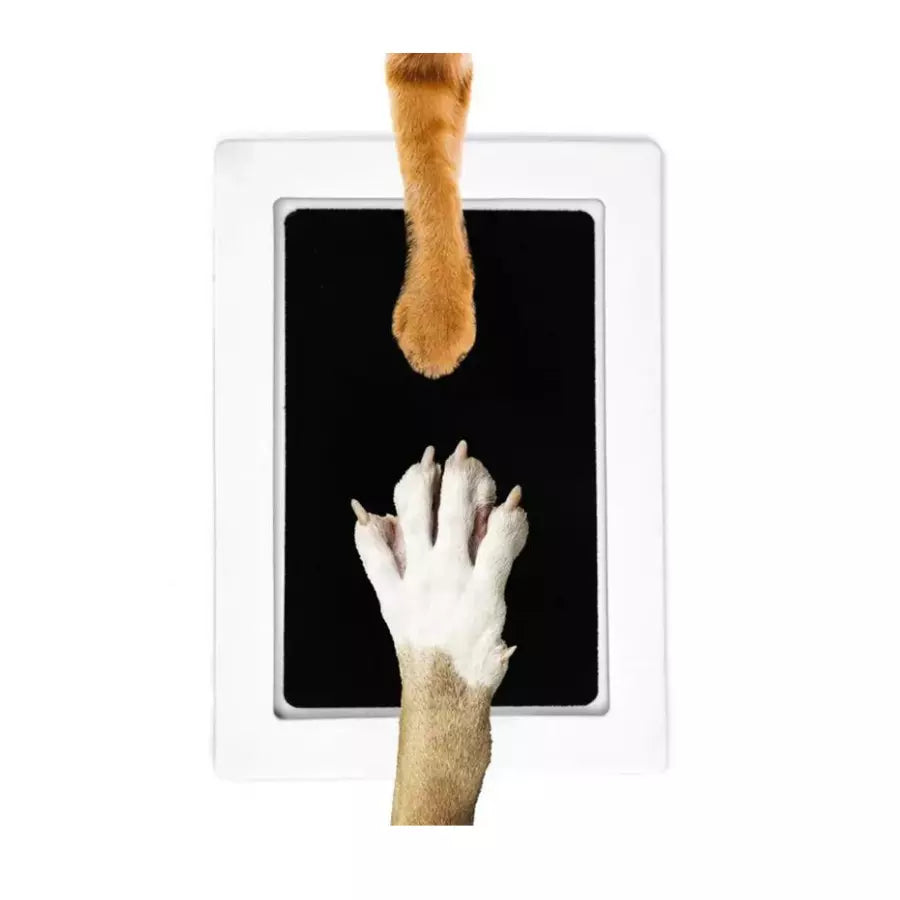Kit d'empreinte de patte d’animaux sans encre