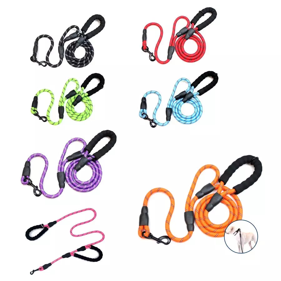 Laisse double poignée pour animaux