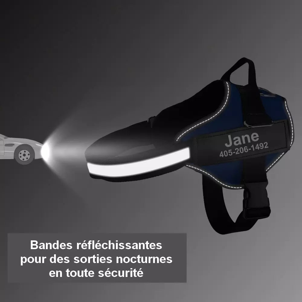 Harnais personnalisable pour chien