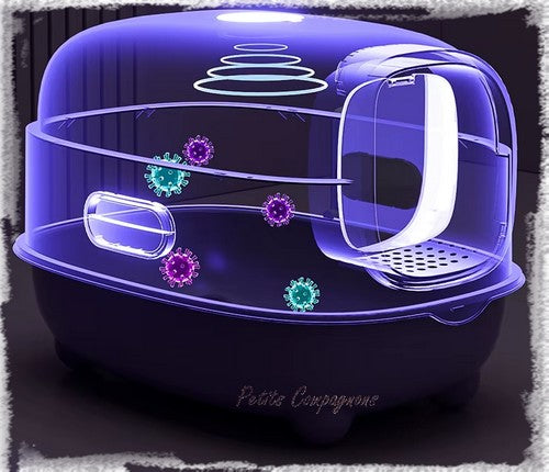 Maison de toilette désodorisante