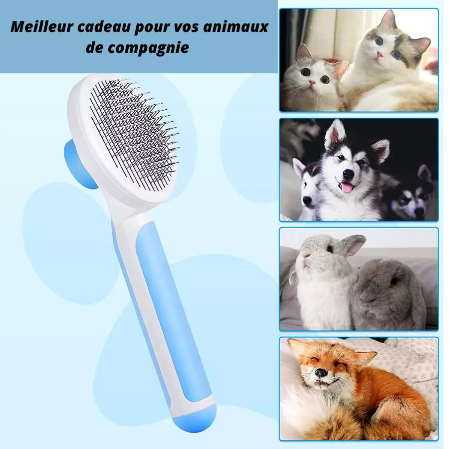 Brosse à poils pour chiens chat toilettage Automatique