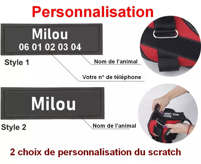Harnais personnalisable pour chien
