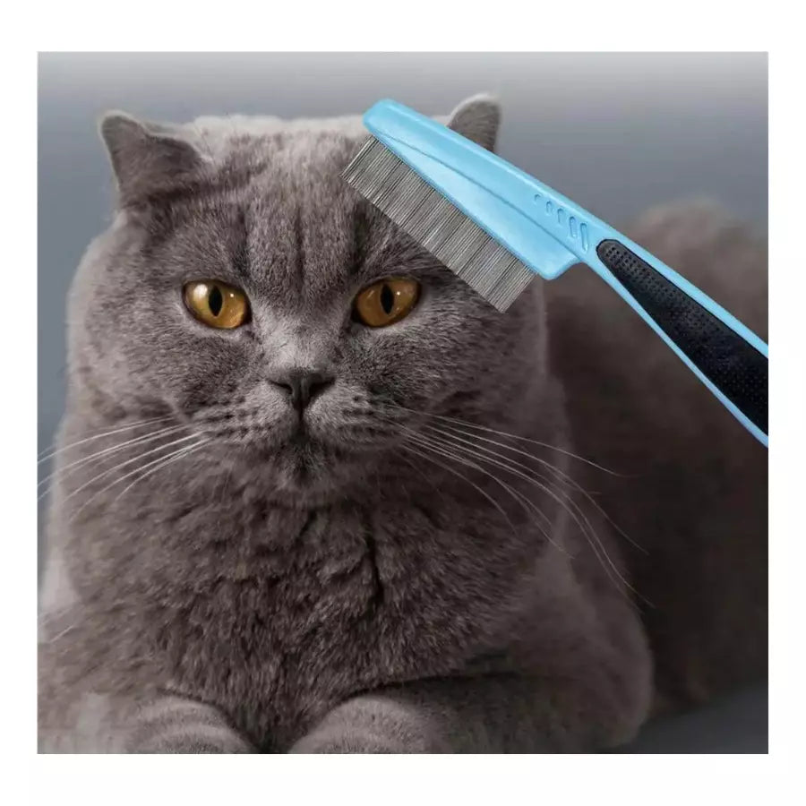 Brosse d'élimination des puces et des poux chat-chien