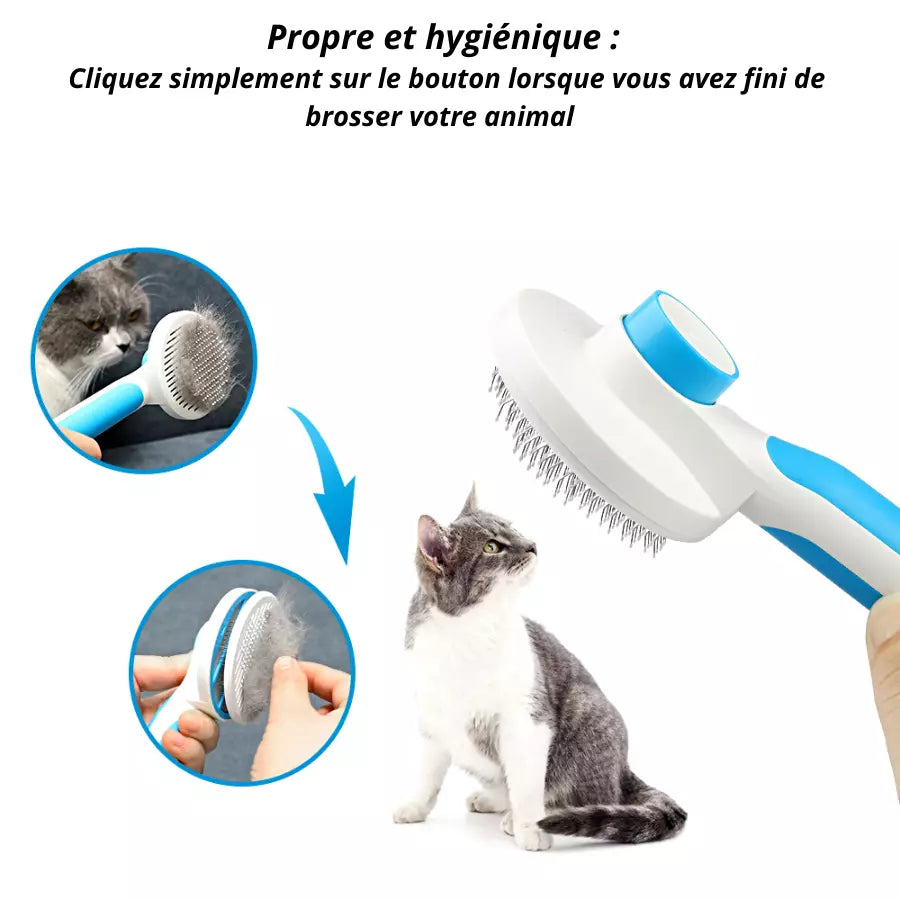 Brosse à poils pour chiens chat toilettage Automatique