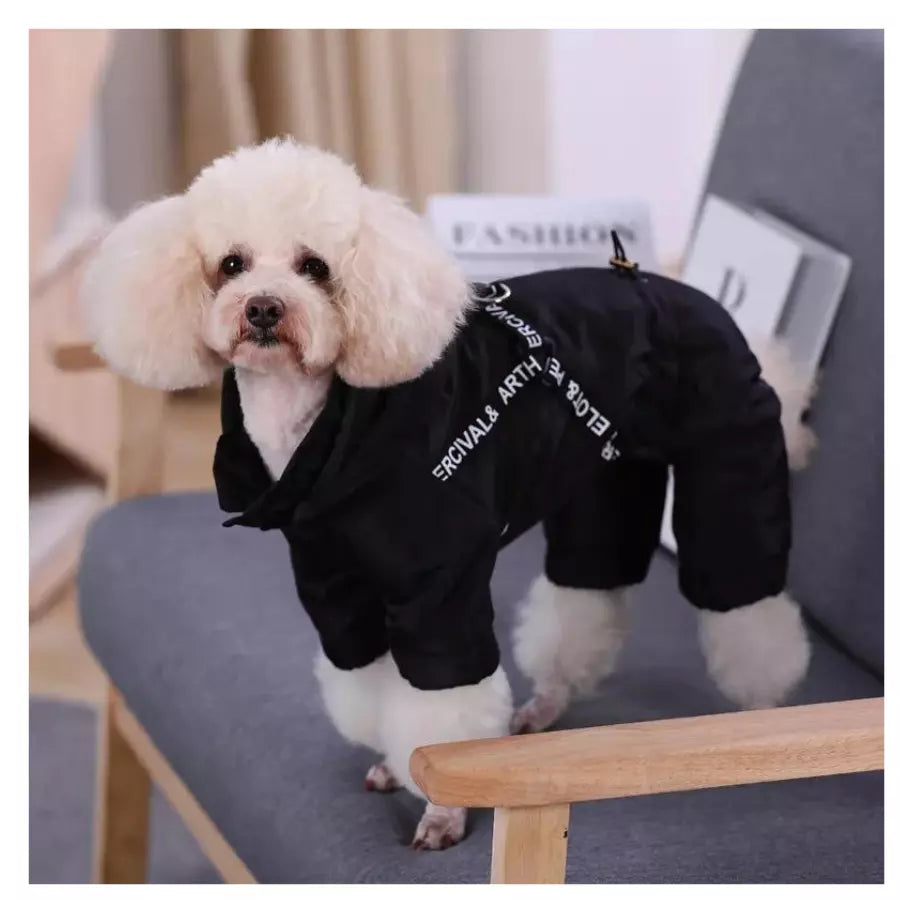 Veste chaude d'hiver pour chien