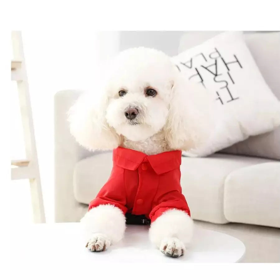 Veste chaude d'hiver pour chien