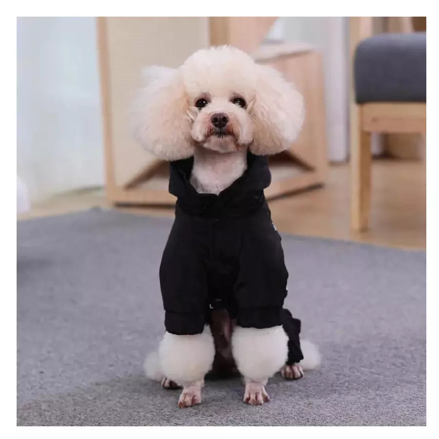 Veste chaude d'hiver pour chien