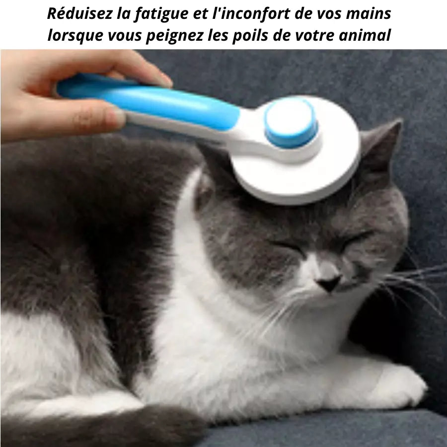 Brosse à poils pour chiens chat toilettage Automatique
