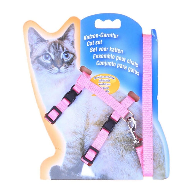 Ensemble harnais + laisse pour pour chat-chien