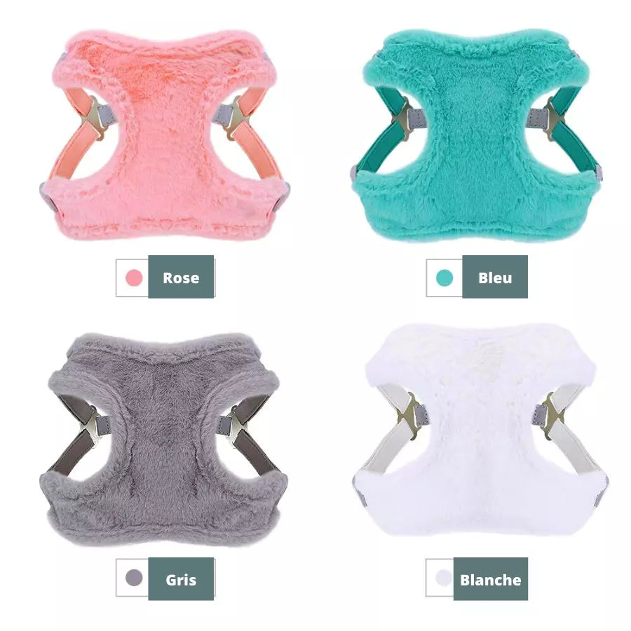 Ensemble gilet harnais en fourrure avec laisse pour animaux de compagnie