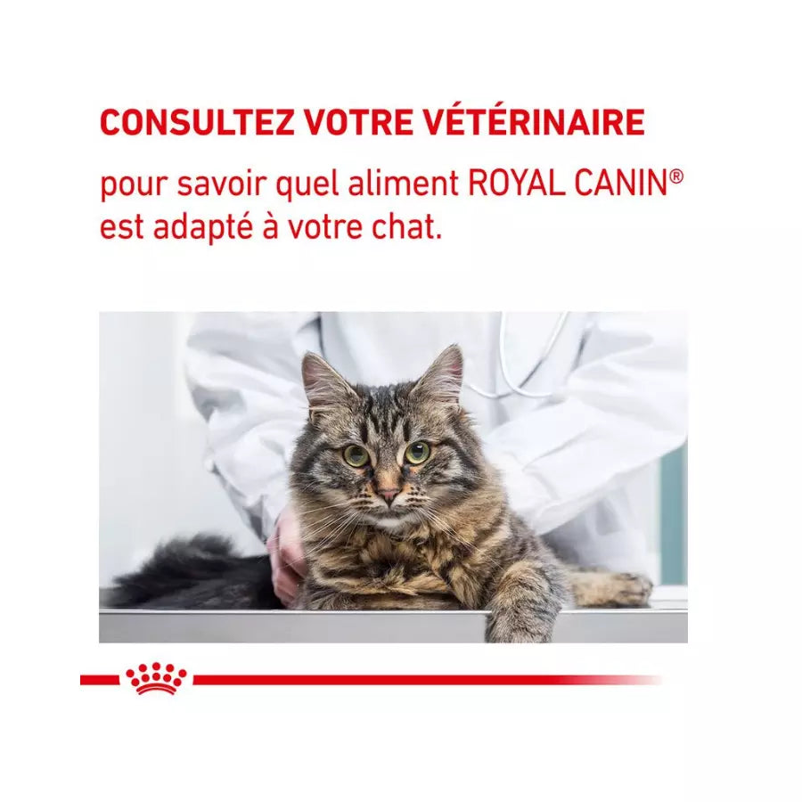 Royal Canin Expert Neutered Satiety Balance pour chat