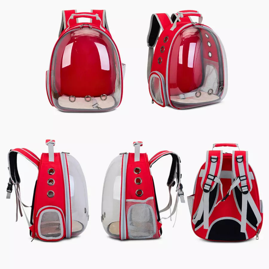 Sac à dos extensible pour chat