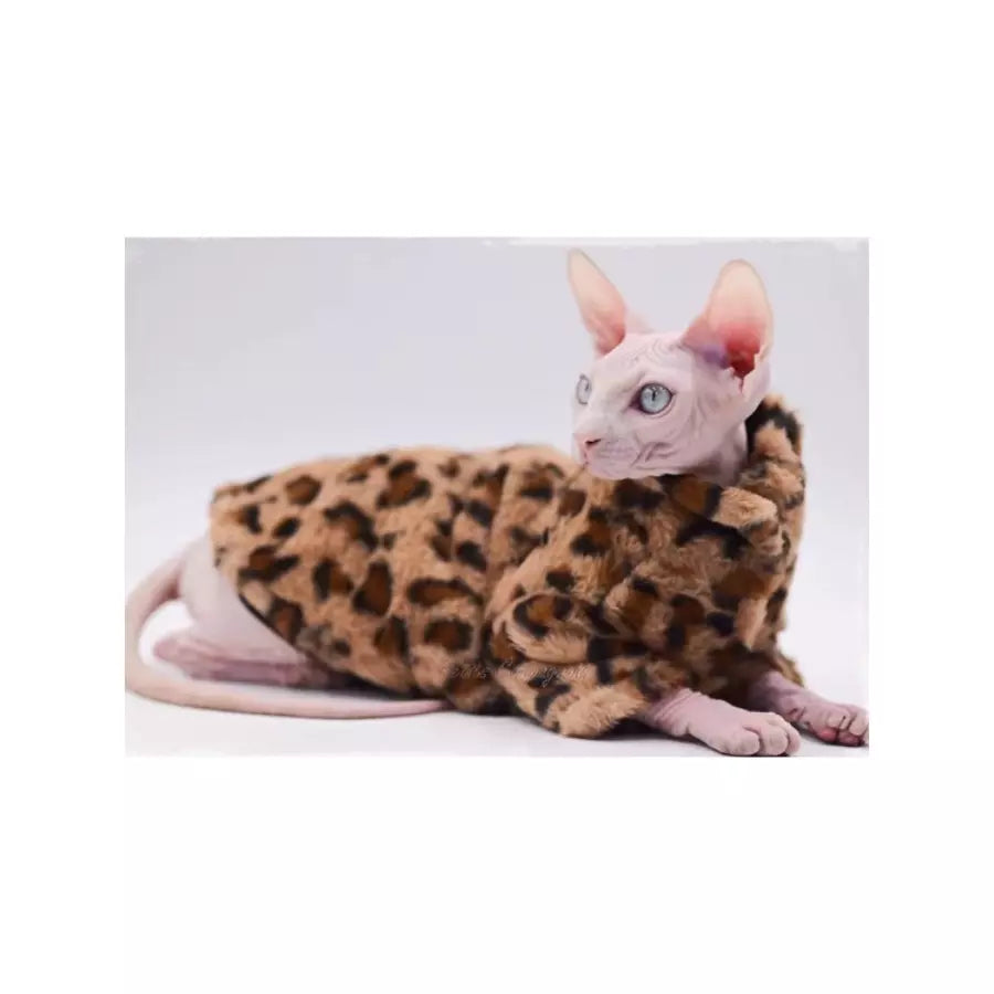 Manteau Fashion pour chien chat