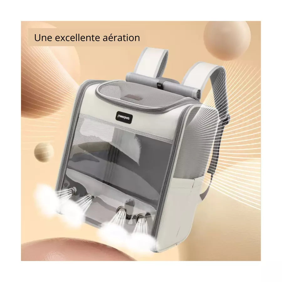 Sac à dos pour chat transparent