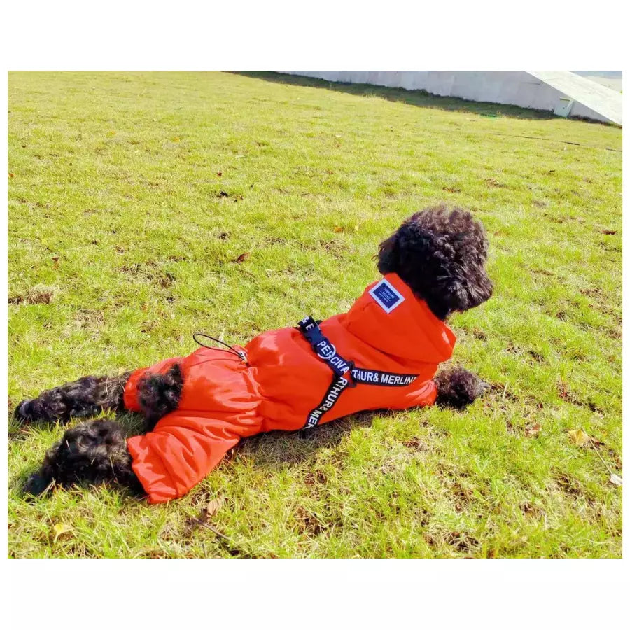 Veste chaude d'hiver pour chien